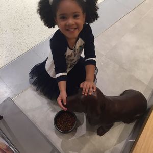 Meet your Posher, Arisbel